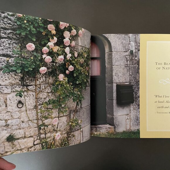 Interior Design Book, Decorating Book, French Design, Betty Lou Phillips - Picture 6 of 15